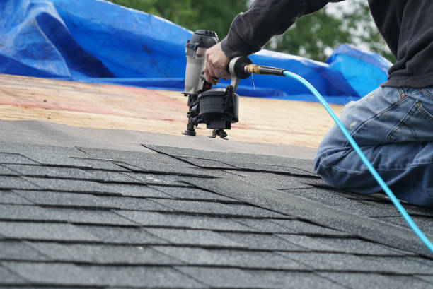Best Storm Damage Roof Repair  in Winnsboro, TX